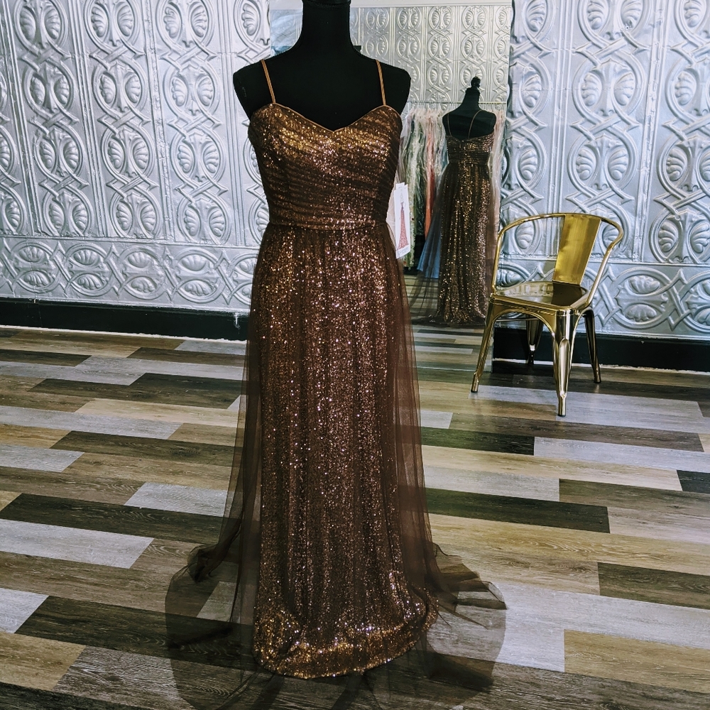 NWT Tulle Over Sequin Dress